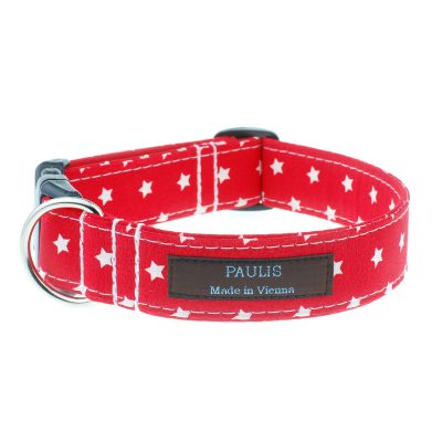 Hundehalsband von Paulis Hundeausstatter | Sternchenmuster | feuerrot